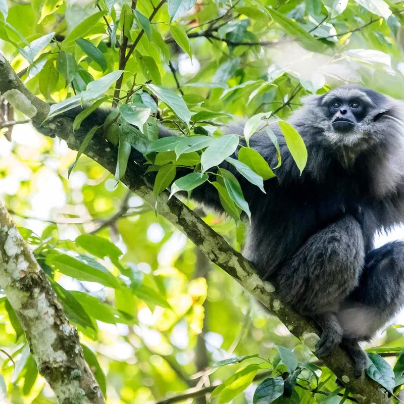 Asia's Growing Strength: What It Means for the Global Market and Beyond